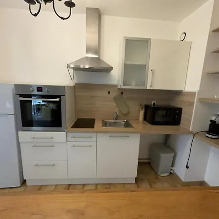 Appartement En Centre Ville Avec Cour Face Au Parc Pasteur Orleans Exterior photo